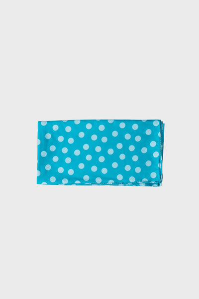 Polka Dot Printed Twill Silk Scarf