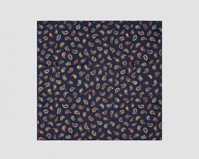 Pochette di Seta Disegno Cachemire